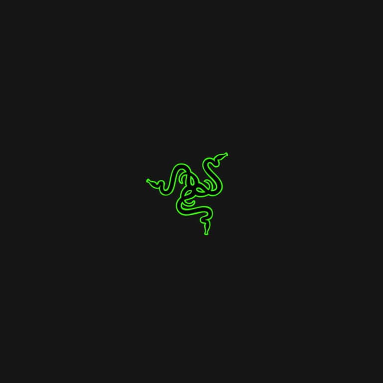 razer logo